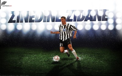 TVT体育动态-从草根到巨星的故事